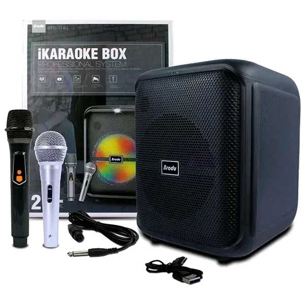 High Quality Brodu 8inch Karaoke Bluetooth Speaker with Wireless and wired Microphone