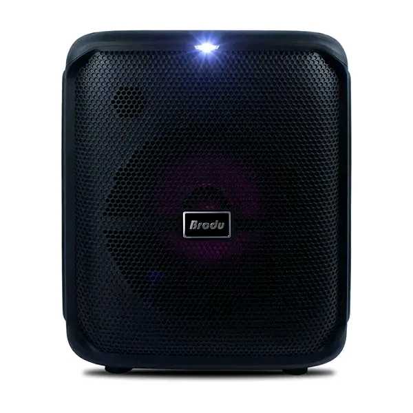 High Quality Brodu 8inch Karaoke Bluetooth Speaker with Wireless and wired Microphone