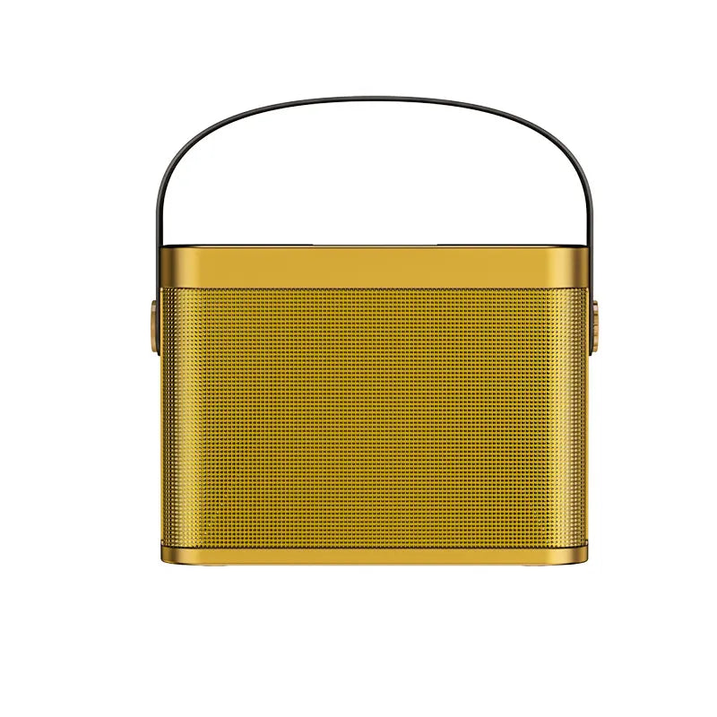 YS-219 outdoor karaoke straps speaker Vocal Cut Tone Change with Dual UHF wireless microphone