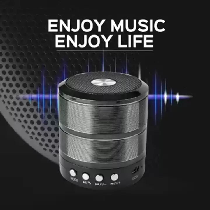 WS 887 Portable Bluetooth Mini Speaker
