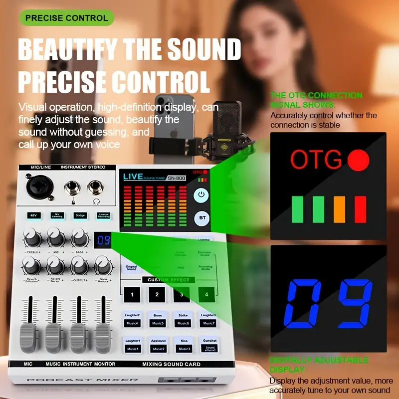 SN800 Professional Live Sound Card Sound Mixer with LCT 240 microphone full set