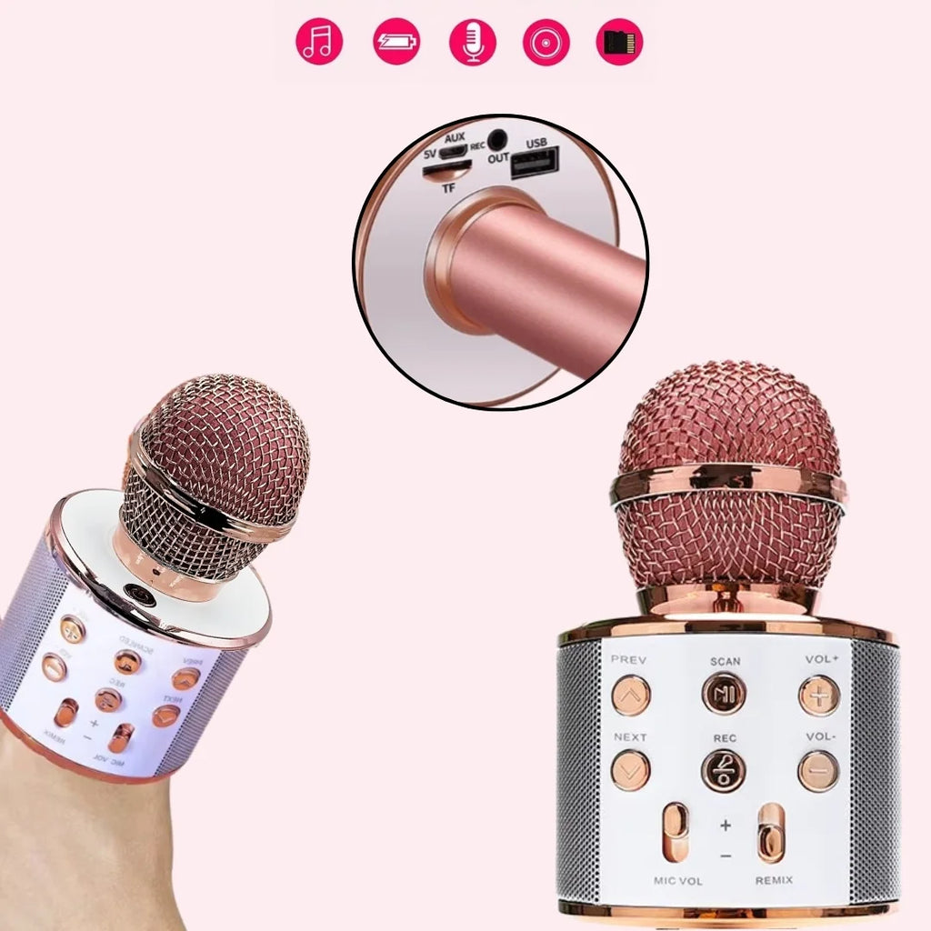 WS-858 ميكروفون كاريوكي لاسلكي ومكبر صوت