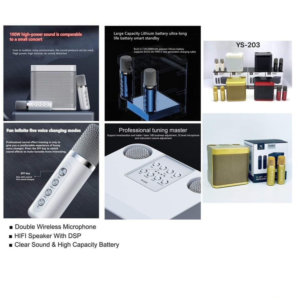YS 203 مكبر صوت كاريوكي لاسلكي بقوة 100 وات مع ميكروفونين