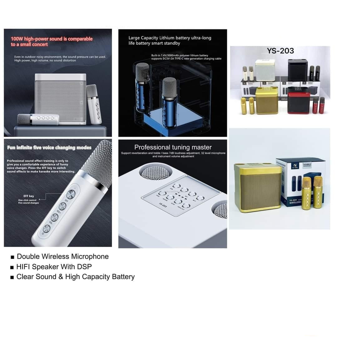 YS 203 مكبر صوت كاريوكي لاسلكي بقوة 100 وات مع ميكروفونين