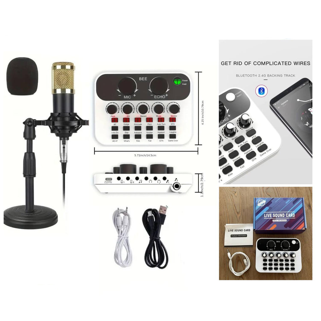 BEE Live Sound Card Bm800 Microphone Set Portable Podcast Mixer with With Studio Effects