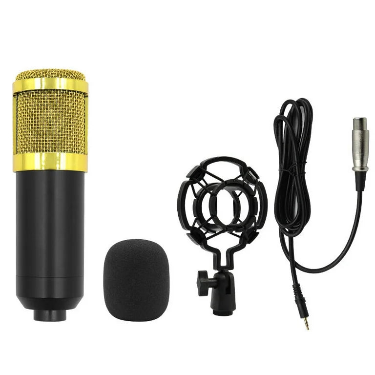 Bm800 Condenser Microphone With Stand, Filter & Mic Cover