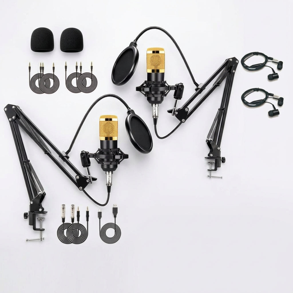 V10 Sound Card With Dual BM800 Microphone Full Set