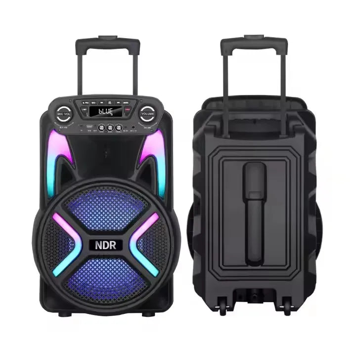 مكبر صوت NDR-122 محمول للحفلات DJ على المسرح RGB LED