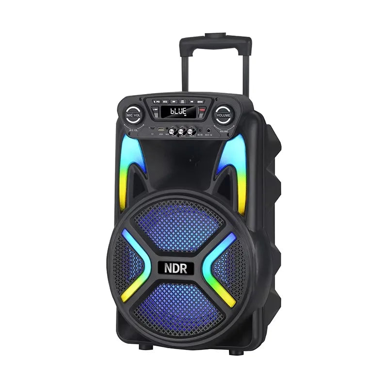 مكبر صوت NDR-122 محمول للحفلات DJ على المسرح RGB LED