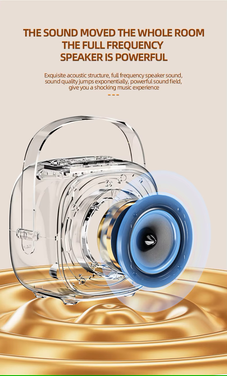 مكبر صوت كاريوكي محمول متعدد الوسائط مزود بميكروفونين - K29