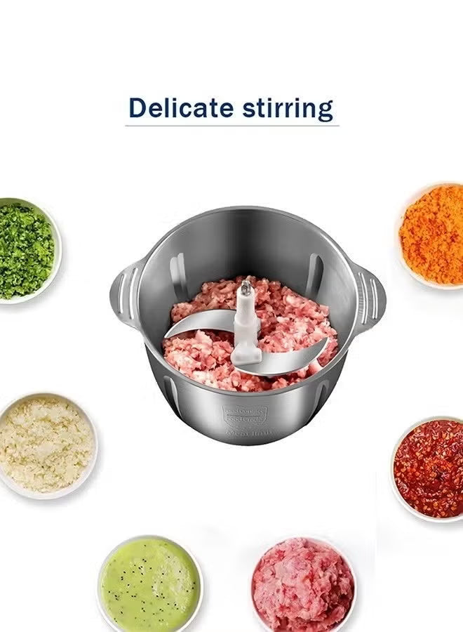 Electric Meat Grinder, 3L Food Chopper, Stainless Steel Chopper with 4 Blades
