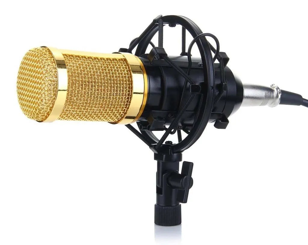 Bm800 Condenser Microphone With Stand, Filter & Mic Cover