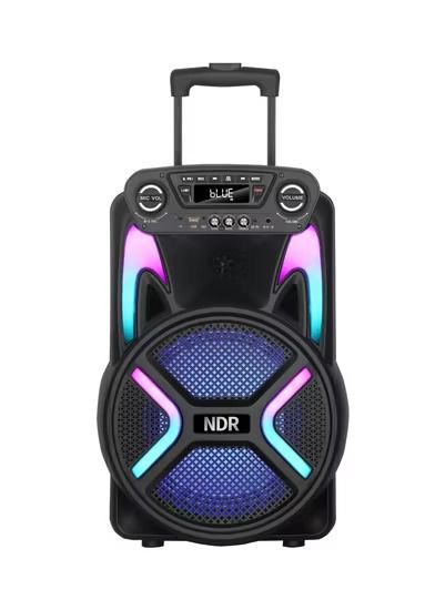 مكبر صوت NDR-122 محمول للحفلات DJ على المسرح RGB LED