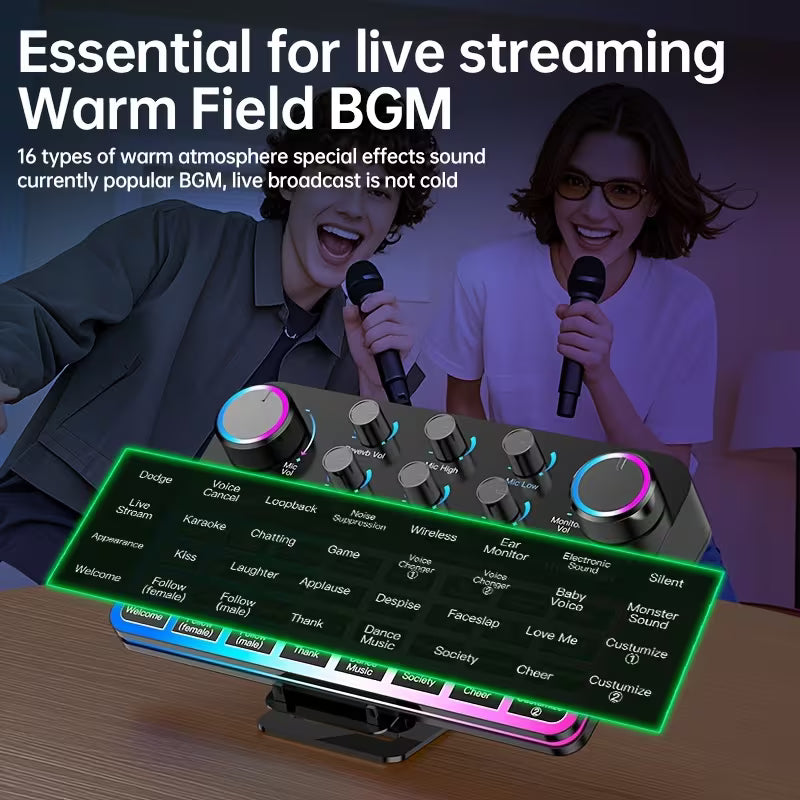V19 SOUND CARD WITH 240 MIC Studio Kit
