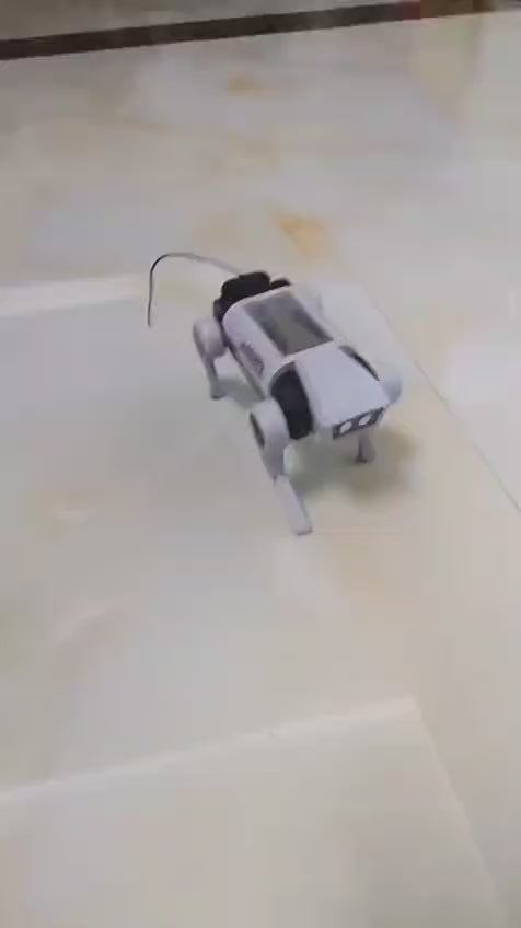 Latest Bionic Design Multi-Functional Dog Robot for DIY Assembly Toy