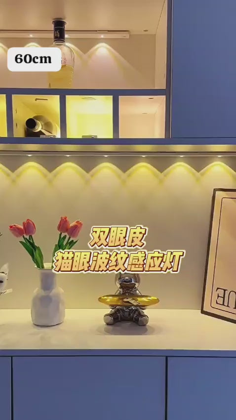 LED Cabinet Lights Motion Sensor Wireless Ultra Thin Night Light 60cm