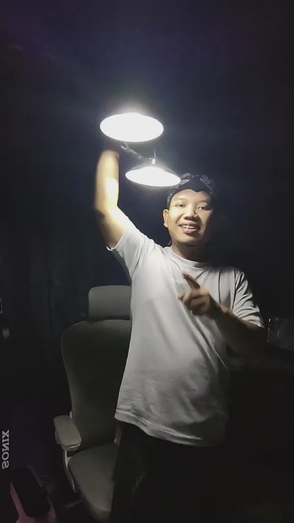 Dual Head Outdoor Solar-Powered Lamp