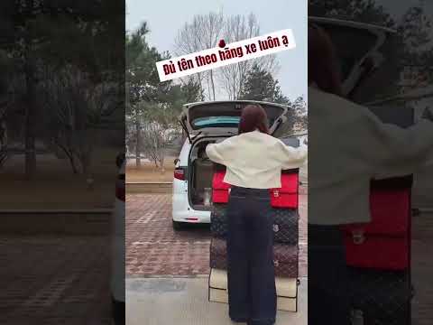 Trunk Organizer for Car With Lid,Foldable Trunk Organizer