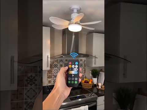 20.5inch FAN Ceiling Fans with Lights