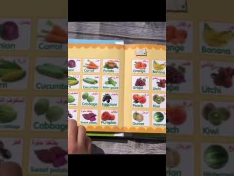 lectronic Talking Book for Kids Arabic English Language Teaching Reading and Storytelling